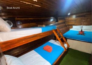 Shared Cabin (Lower Deck – Mixed Beds)
